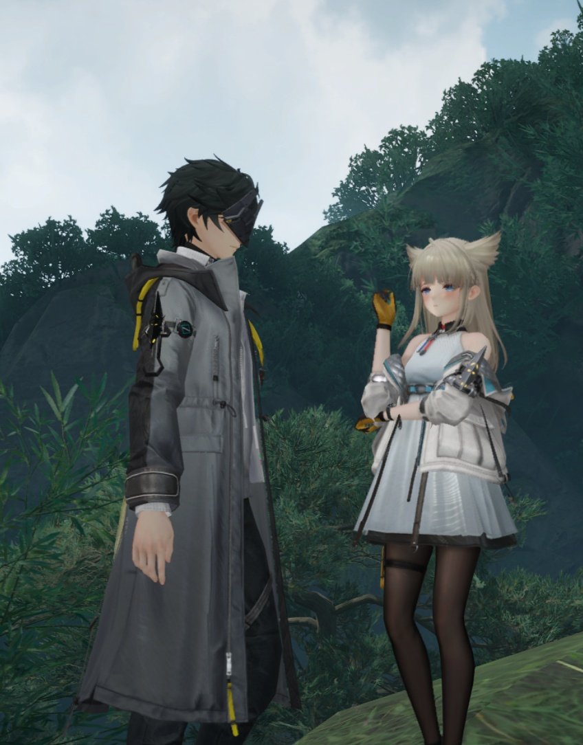 Perlica Wife tweet media