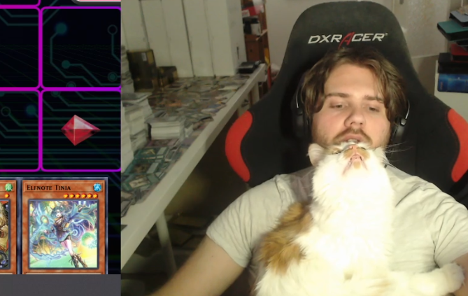 𝗫𝗘𝗡𝗢𝗬 tweet media