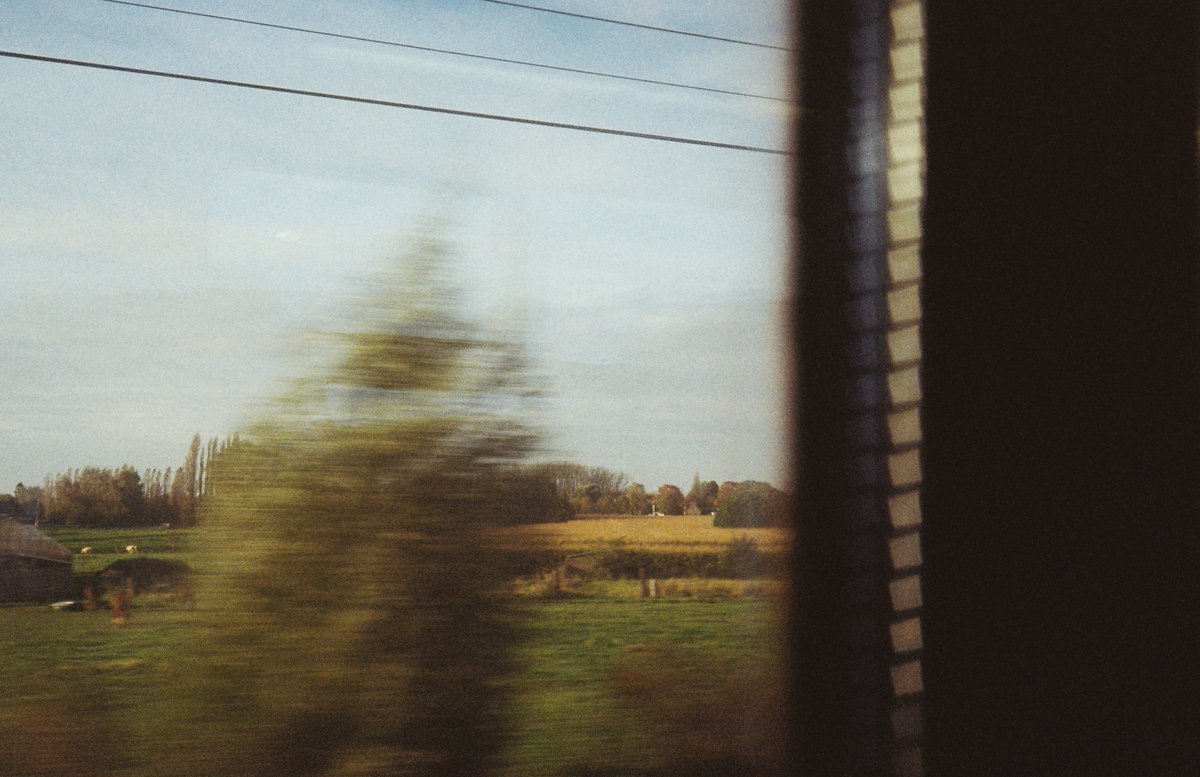 Íkaro, vírgula tweet media