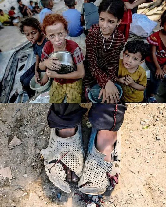 #القدس_ينتفض 🇵🇸 tweet media