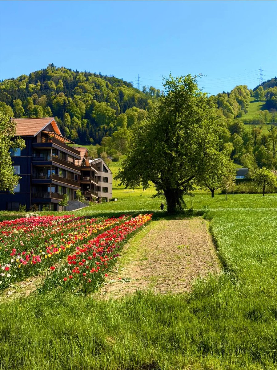 Mariam • tweet media