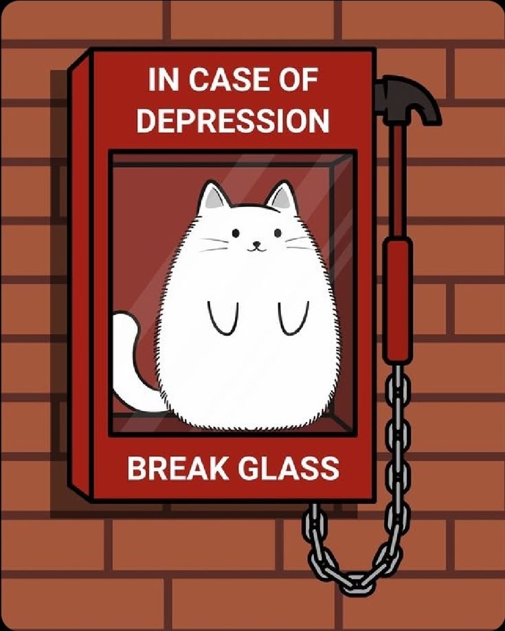 The pets only 🐾 tweet media