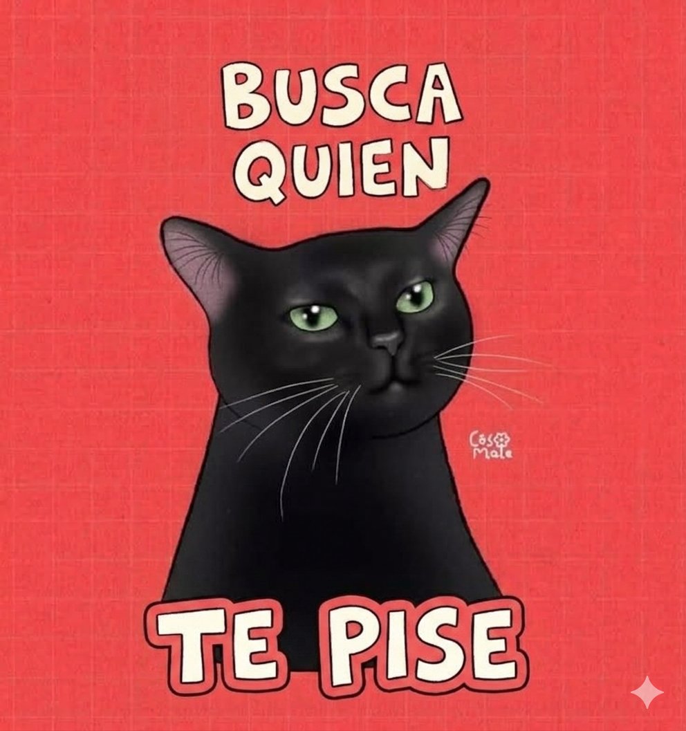 El Mapache Infiltrado 🦝 tweet media