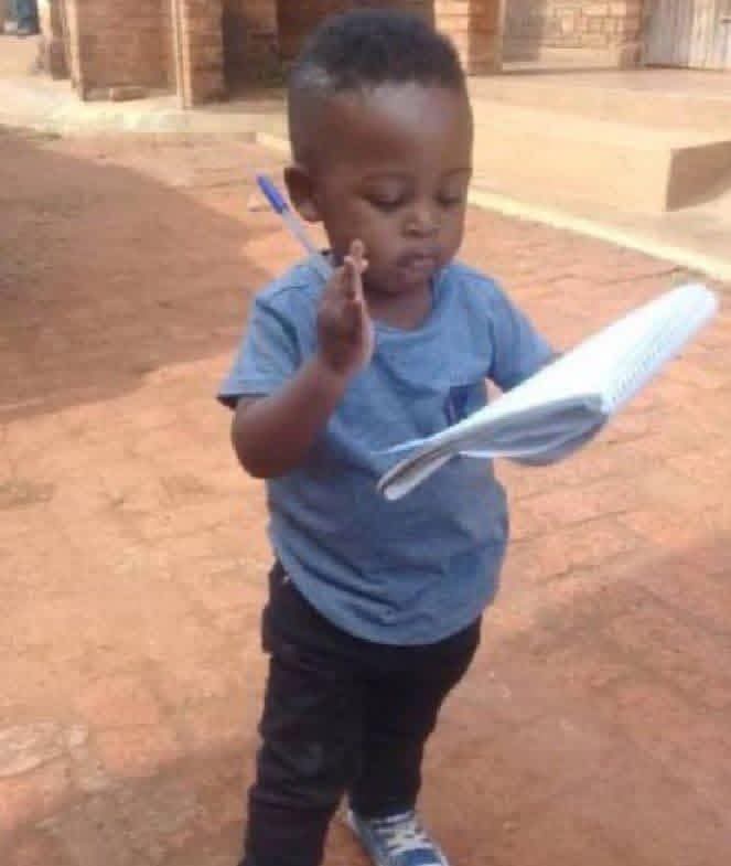 Katchimolala tweet media