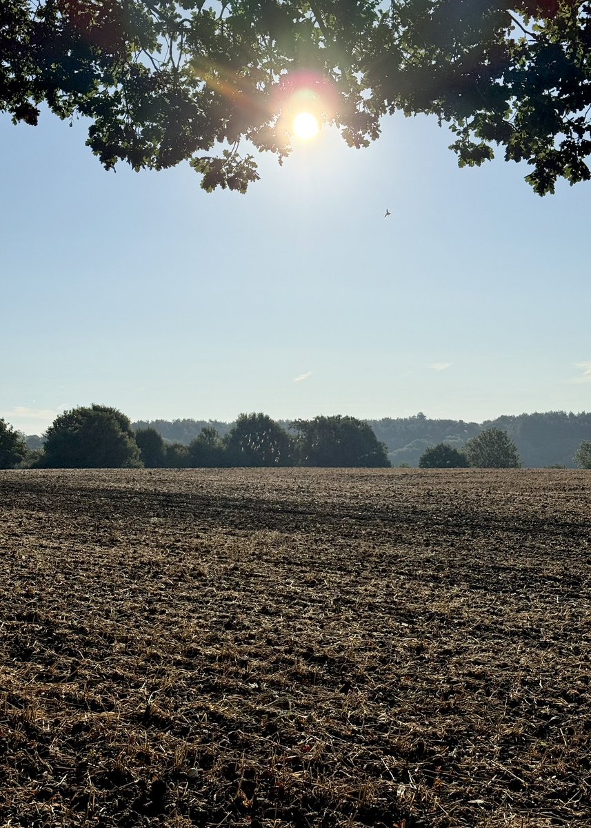 nikkilewisphoto's tweet image. What an amazing world we live in! Happy Earth Day 🌱 

#earthday #nature #thankful