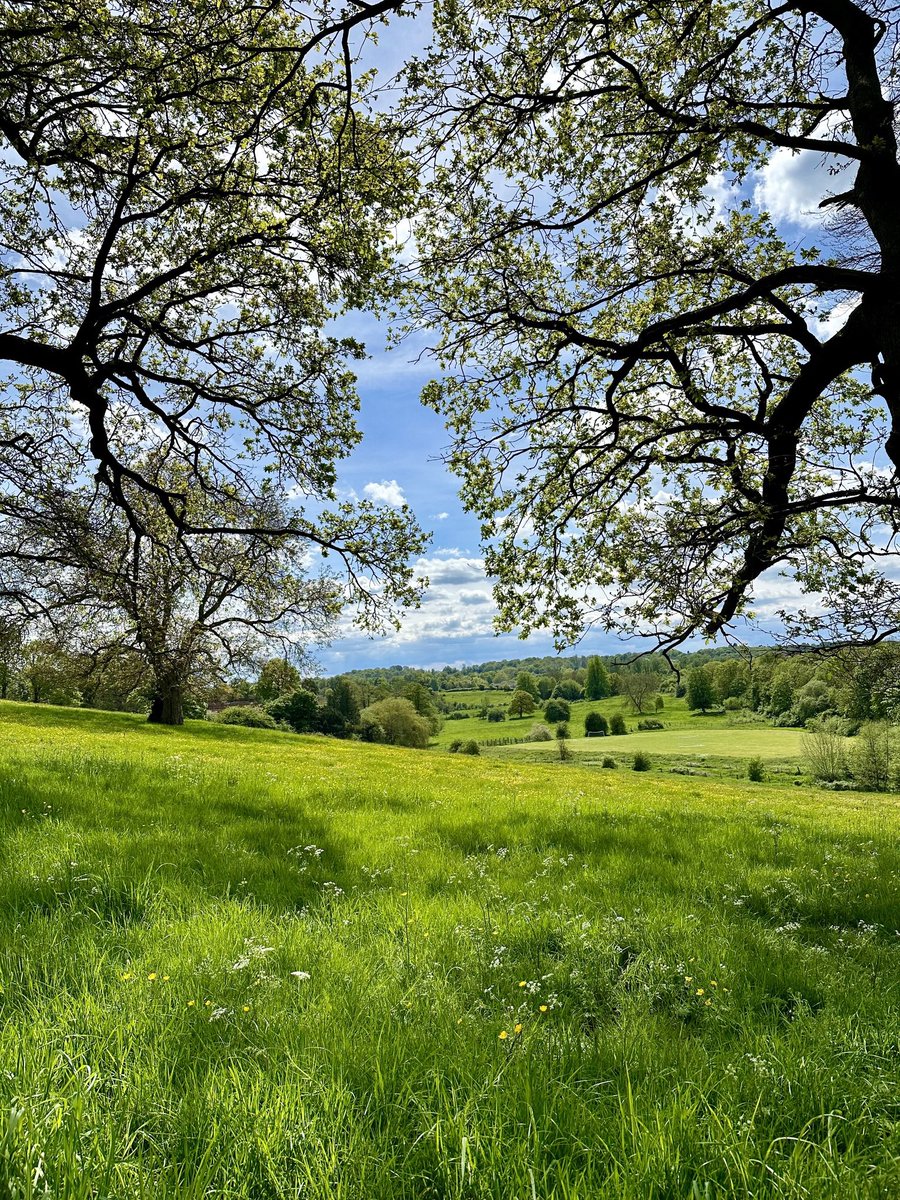 nikkilewisphoto's tweet image. What an amazing world we live in! Happy Earth Day 🌱 

#earthday #nature #thankful