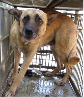 ヘタレ福祉職員@痛恨のヤメルヤメル詐欺 tweet media