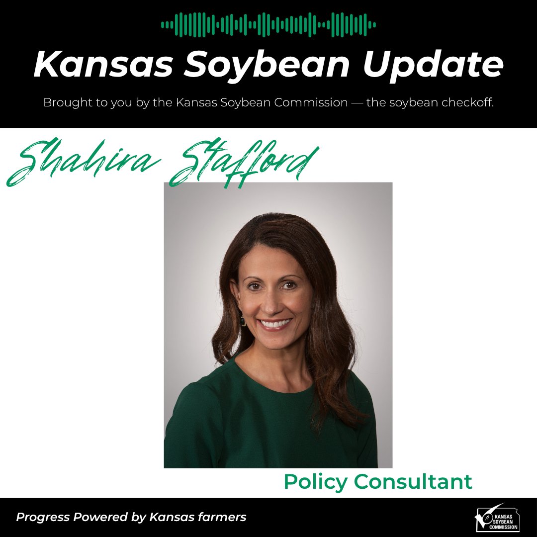 Kansas Soybean tweet media