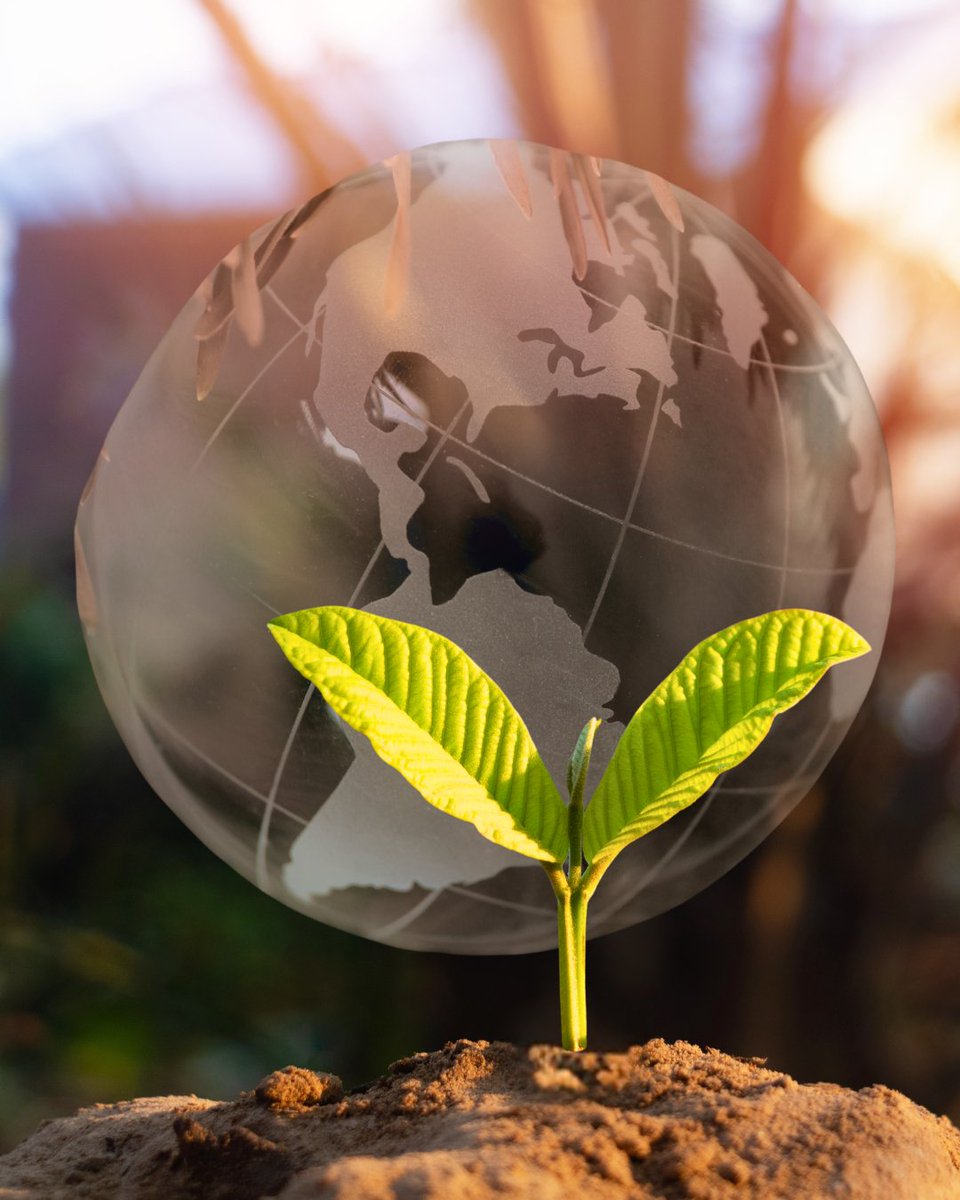 MaximusSystems's tweet photo. Hoy es el Día de la Tierra, así que tomemos un momento para reevaluar nuestras acciones y su impacto en el medio ambiente. 🌎
Nuestro compromiso es claro: proporcionar innovaciones agrotecnológicas por apoyar a los productores en sus esfuerzos por reducir la huella ecológica. https://t.co/csJeVqJV0L