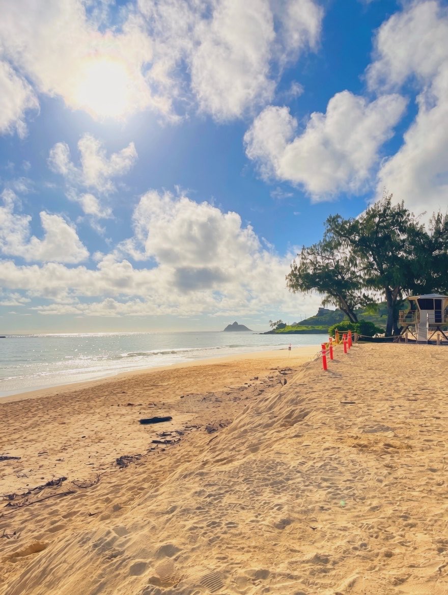 RachelleRafer's tweet image. Happy Earth Day and Happy Trading!

Lots of successful people are up at sunrise to get the sun’s most benefits before 9am. Boosts your mood and confidence level.
#optionstrading #earthhour