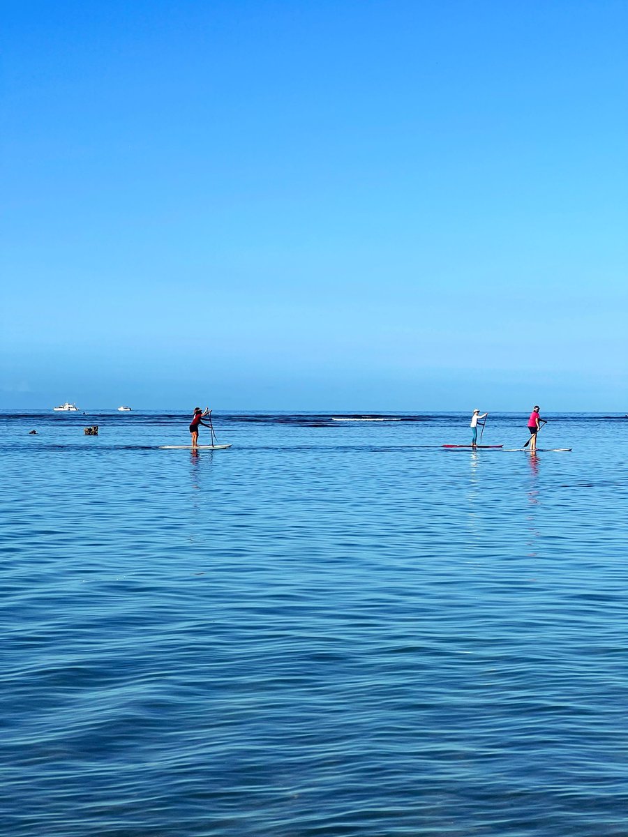 RachelleRafer's tweet image. Happy Earth Day and Happy Trading!

Lots of successful people are up at sunrise to get the sun’s most benefits before 9am. Boosts your mood and confidence level.
#optionstrading #earthhour