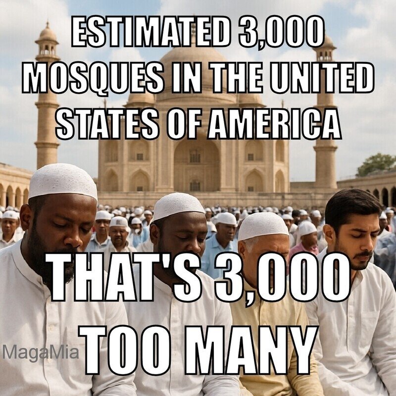 Alexander Duncan tweet media