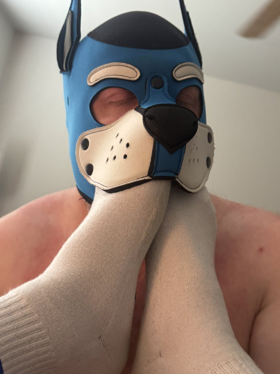 Pup Coda 🐾 tweet media