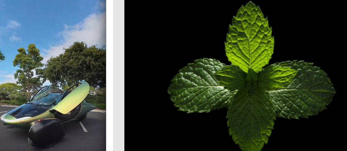 CW Holeman II, ABCS tweet media