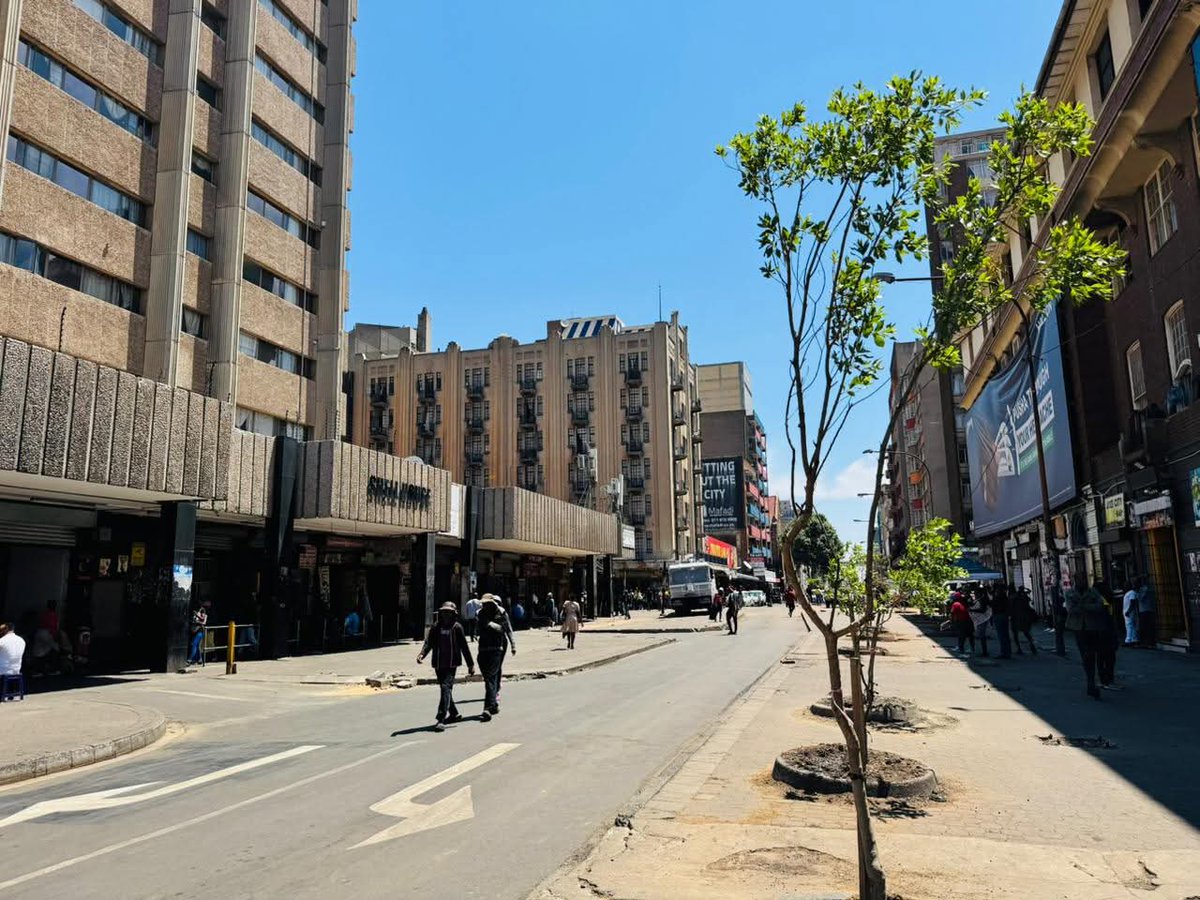 StarLedi tweet media