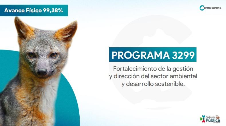 Cormacarena tweet media