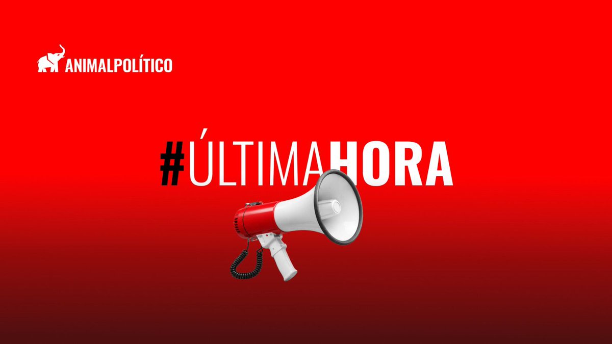 Animal Político tweet media