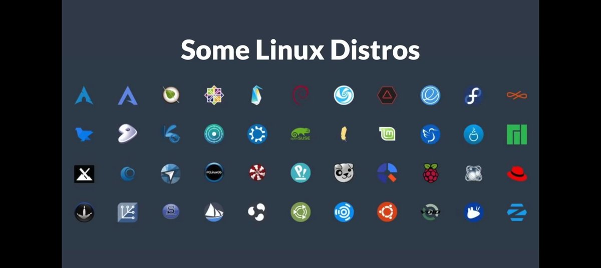 DON STEVE tweet media