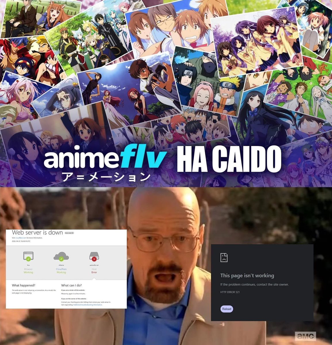 el ajolote spoileador tweet media