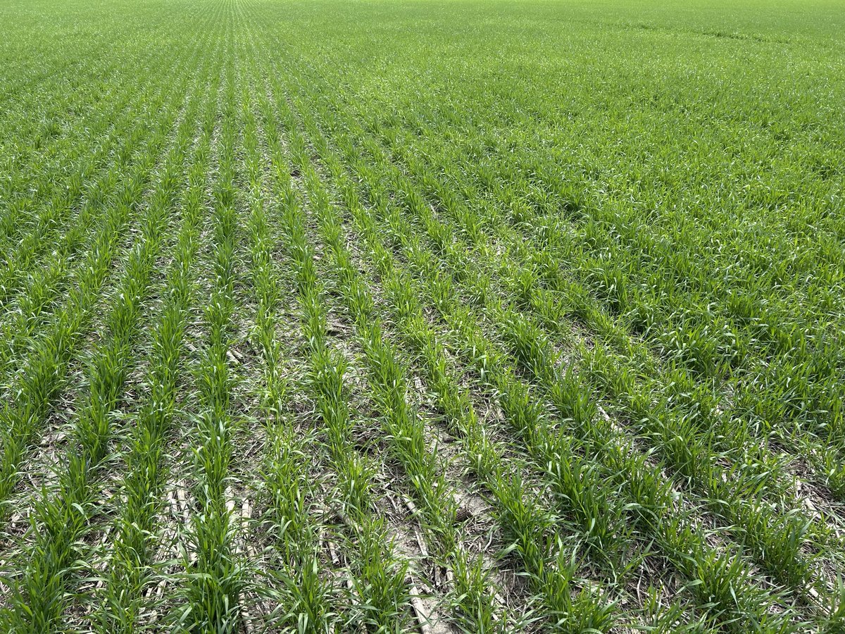 Ryan Benjamins tweet media