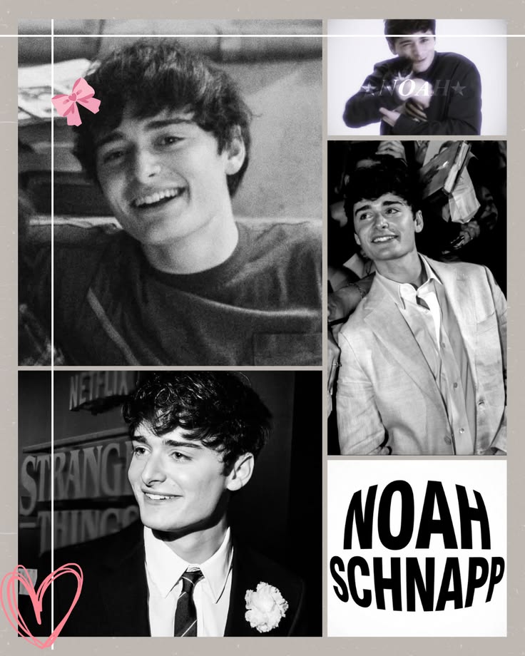 NNoahupdates🐇 tweet media