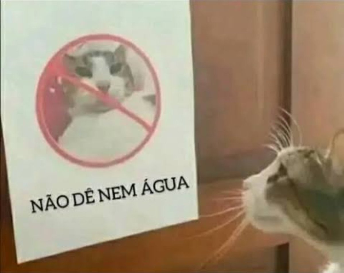 ana #1 yuwu stan tweet media