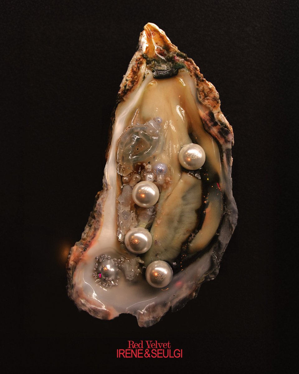 sha 🍚 tweet media