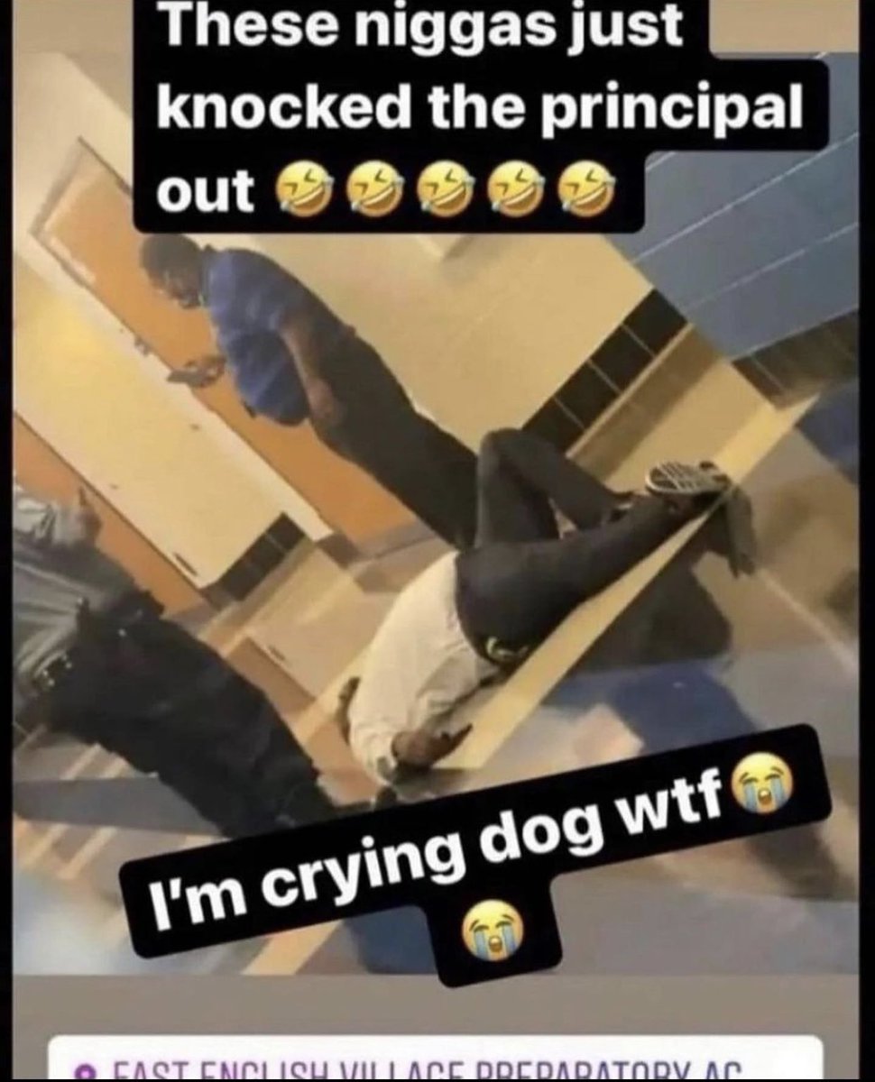 bloutgoggles tweet media