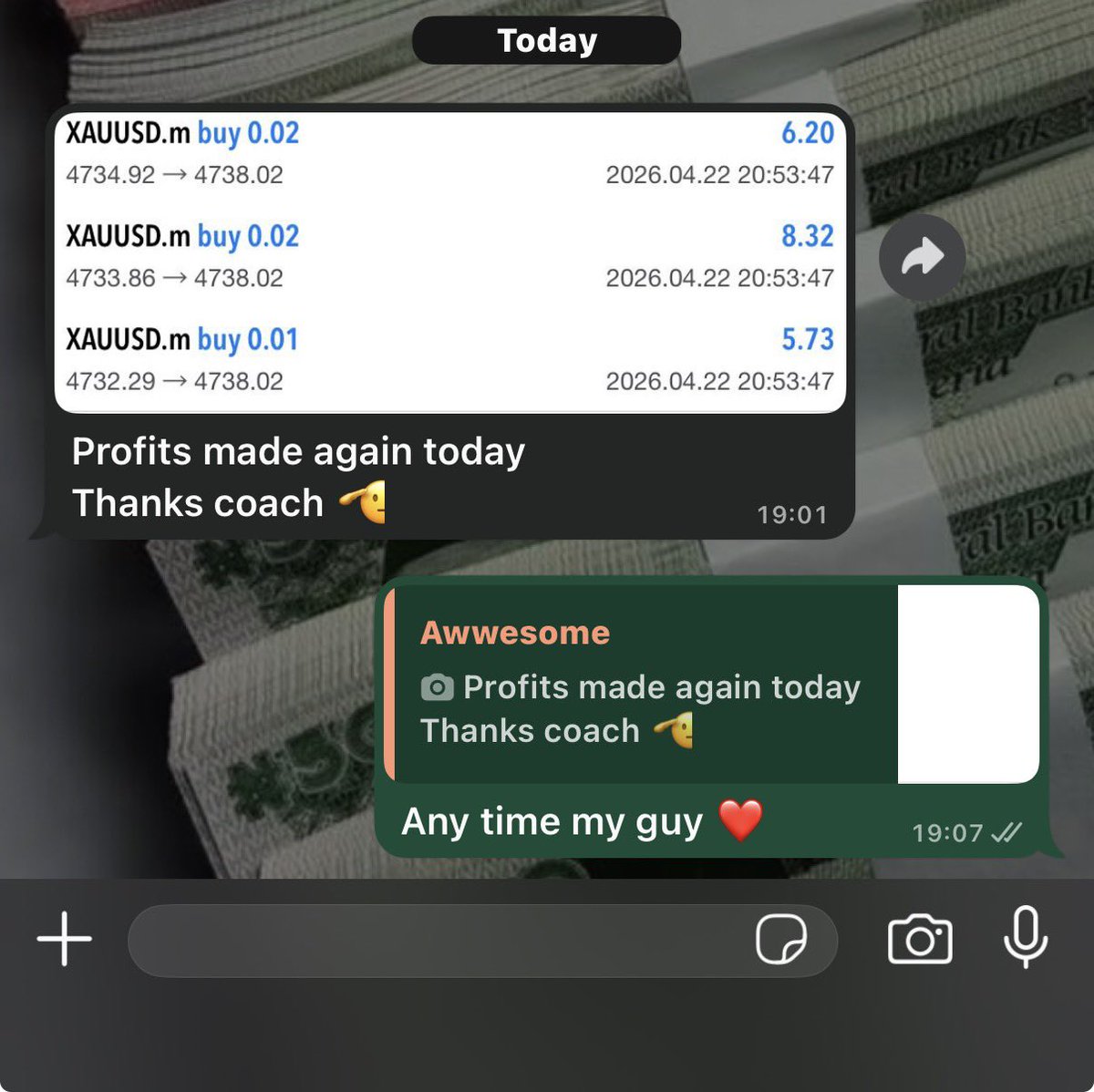 lifeofchibs tweet media