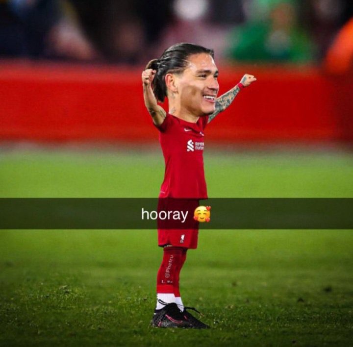 Miloš 🧙🏽‍♂️ tweet media