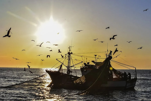 algarve_news's tweet image. Fishermen organise Saturday protests against construction of Albufeira desalination plant - 25th April.
algarvedailynews.com/news/26857-fis…
#Albufeira #AlgarveNews #Protest #AlbufeiraDesalination #PortugalNews #AlgarveDailyNews