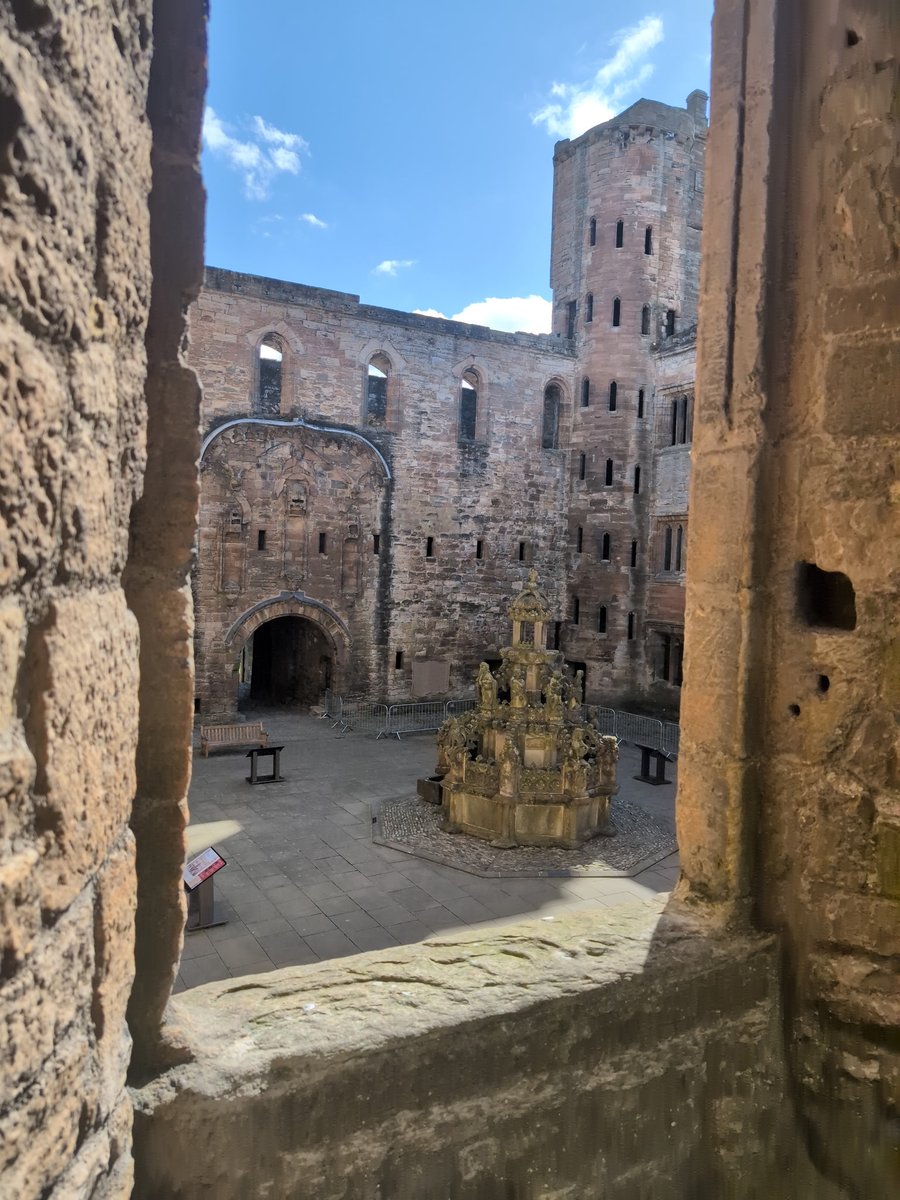 anton 🔶 tweet media