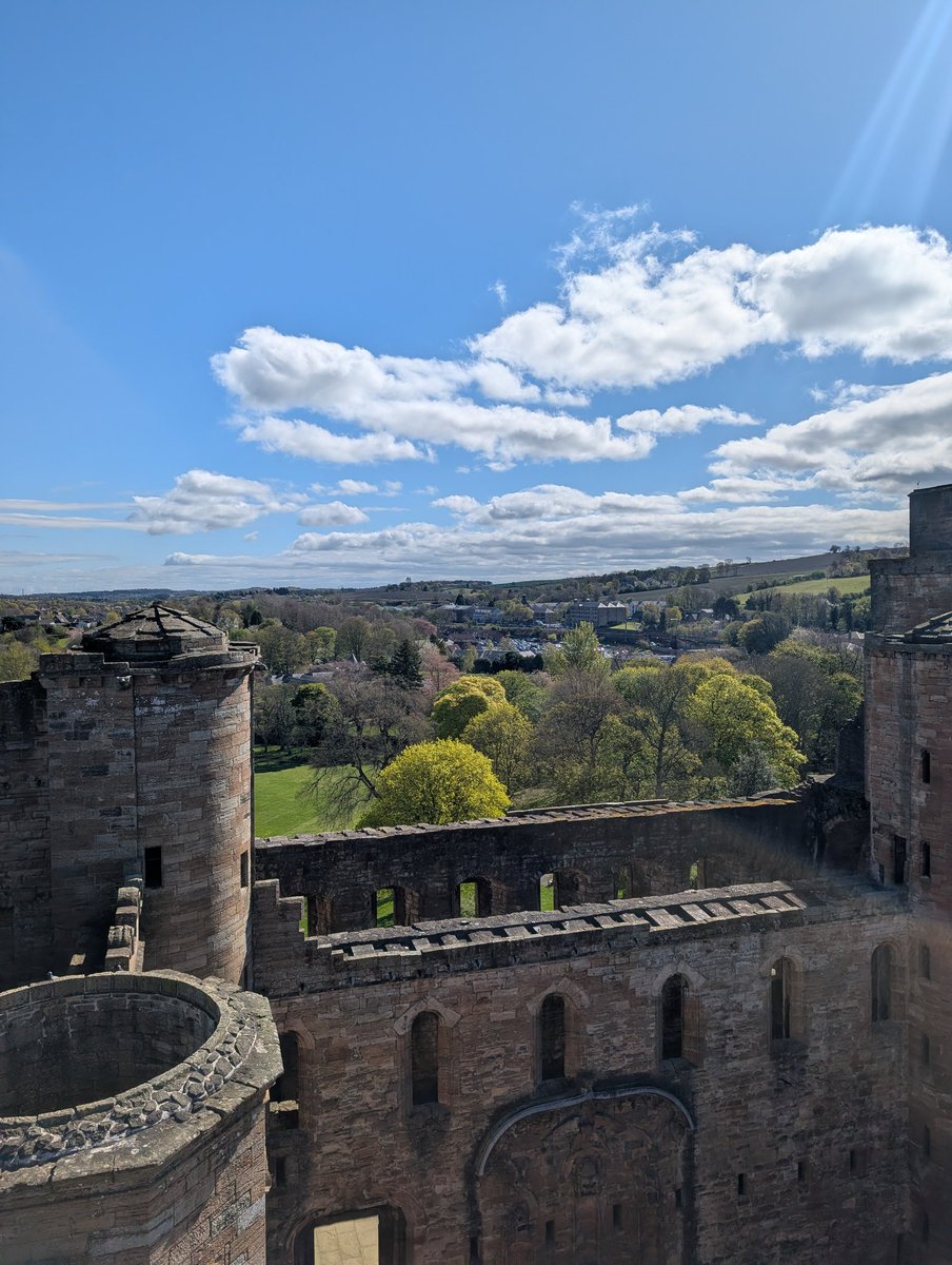 anton 🔶 tweet media