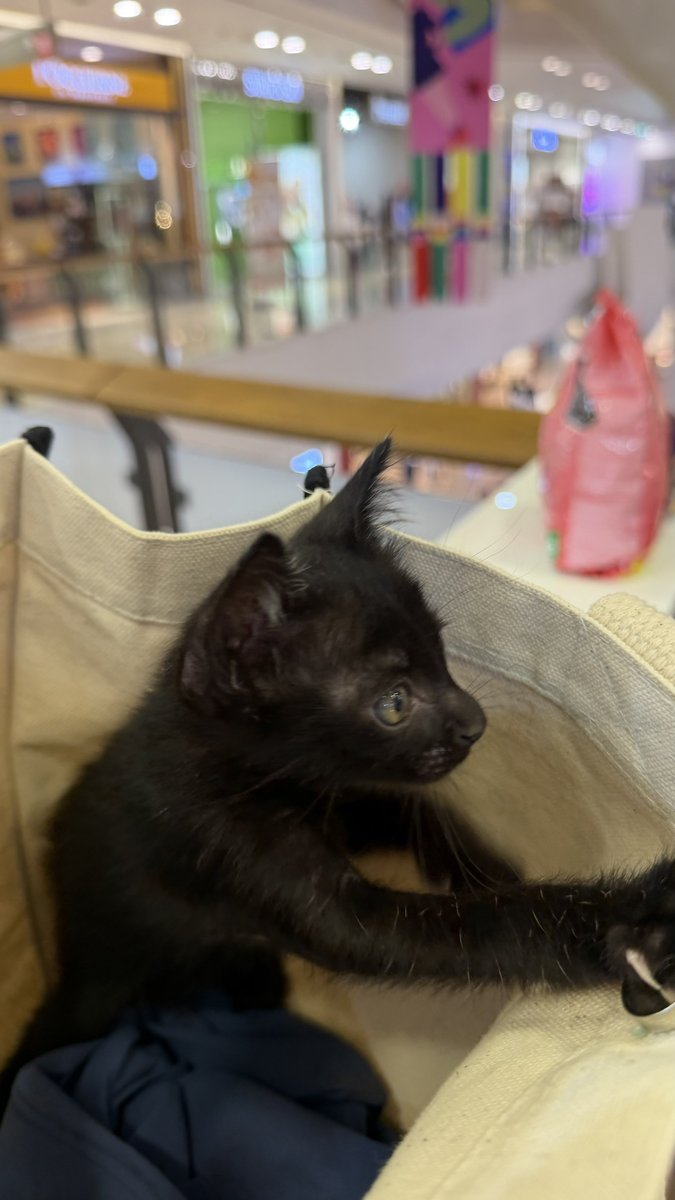 P’G🌳LF27 tweet media