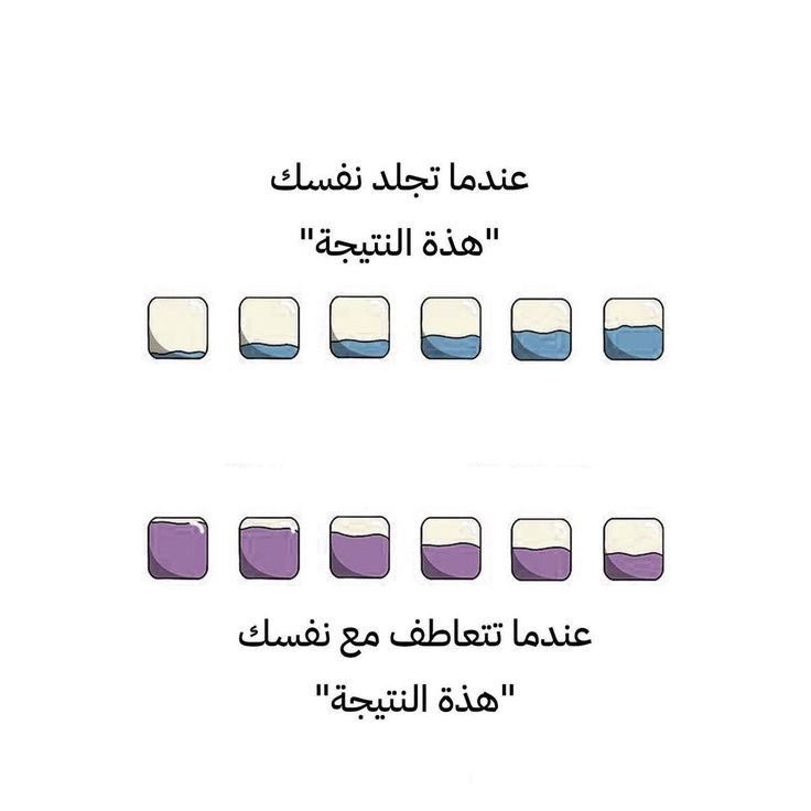 غالية ✨ tweet media