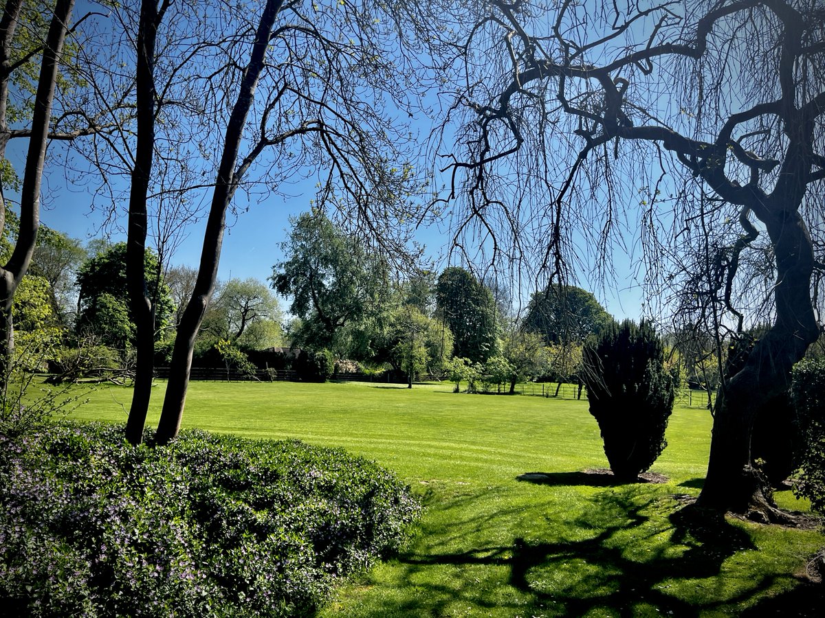 Monkey Island Lane tweet media