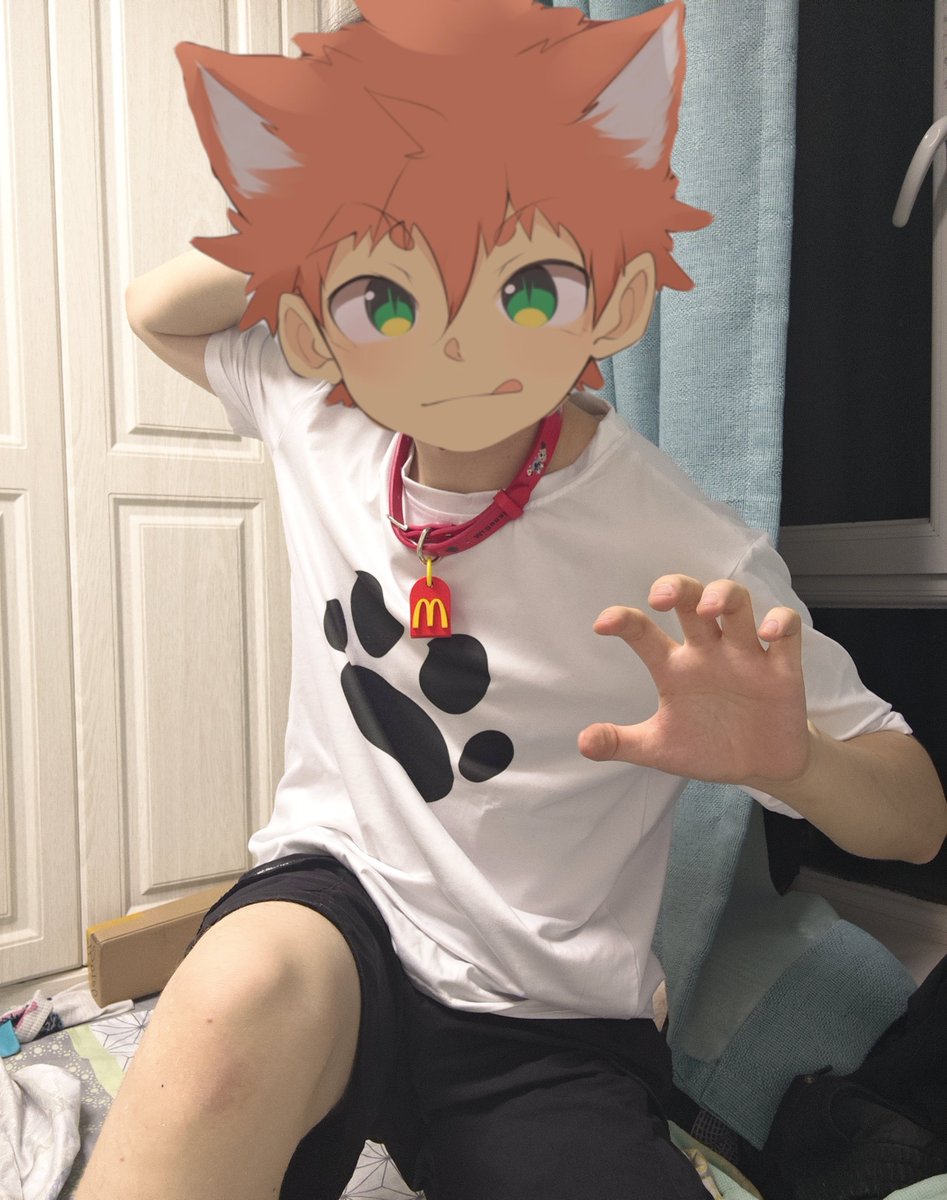 或许是朝朝吧 tweet media