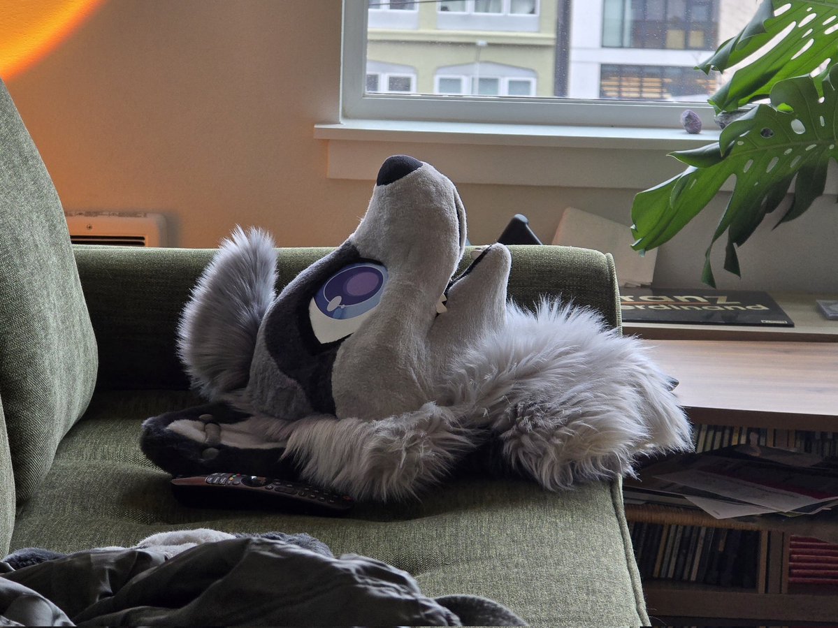 Lucas oonRacc 🔜 FWA tweet media