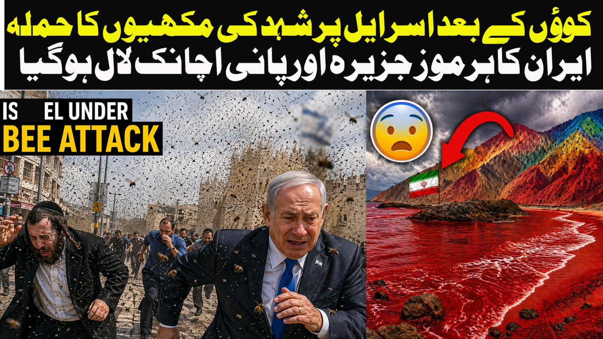 youtu.be/ydZ9gI-hMgs