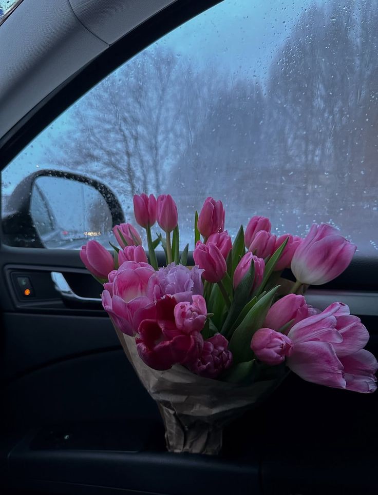 Only Tulips tweet media