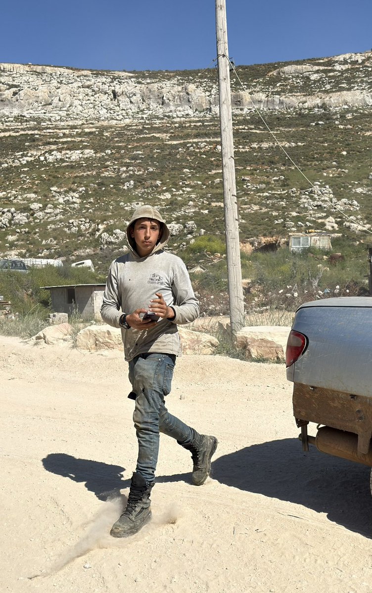 Roni 🦭🍅 tweet media