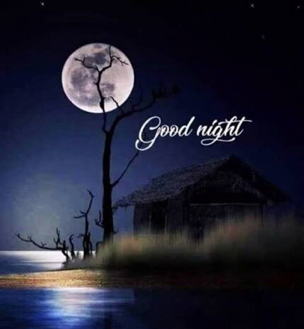 Saimakomal129's tweet image. #Goodnight #X #Community