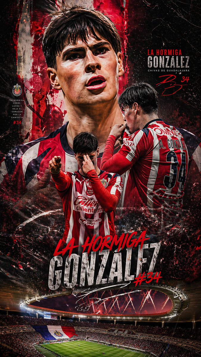 Sergio 🇫🇷 tweet media