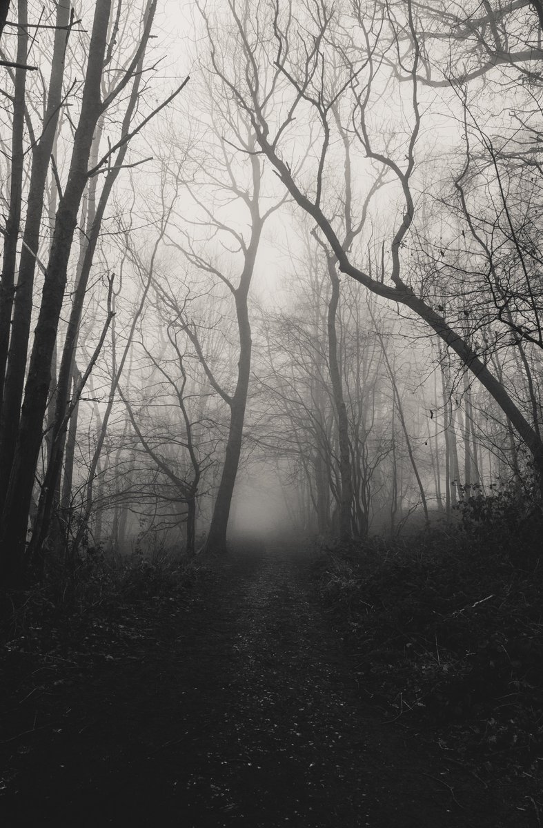 zosphotos's tweet photo. Soft grey touch https://t.co/gfS8Am2R6o