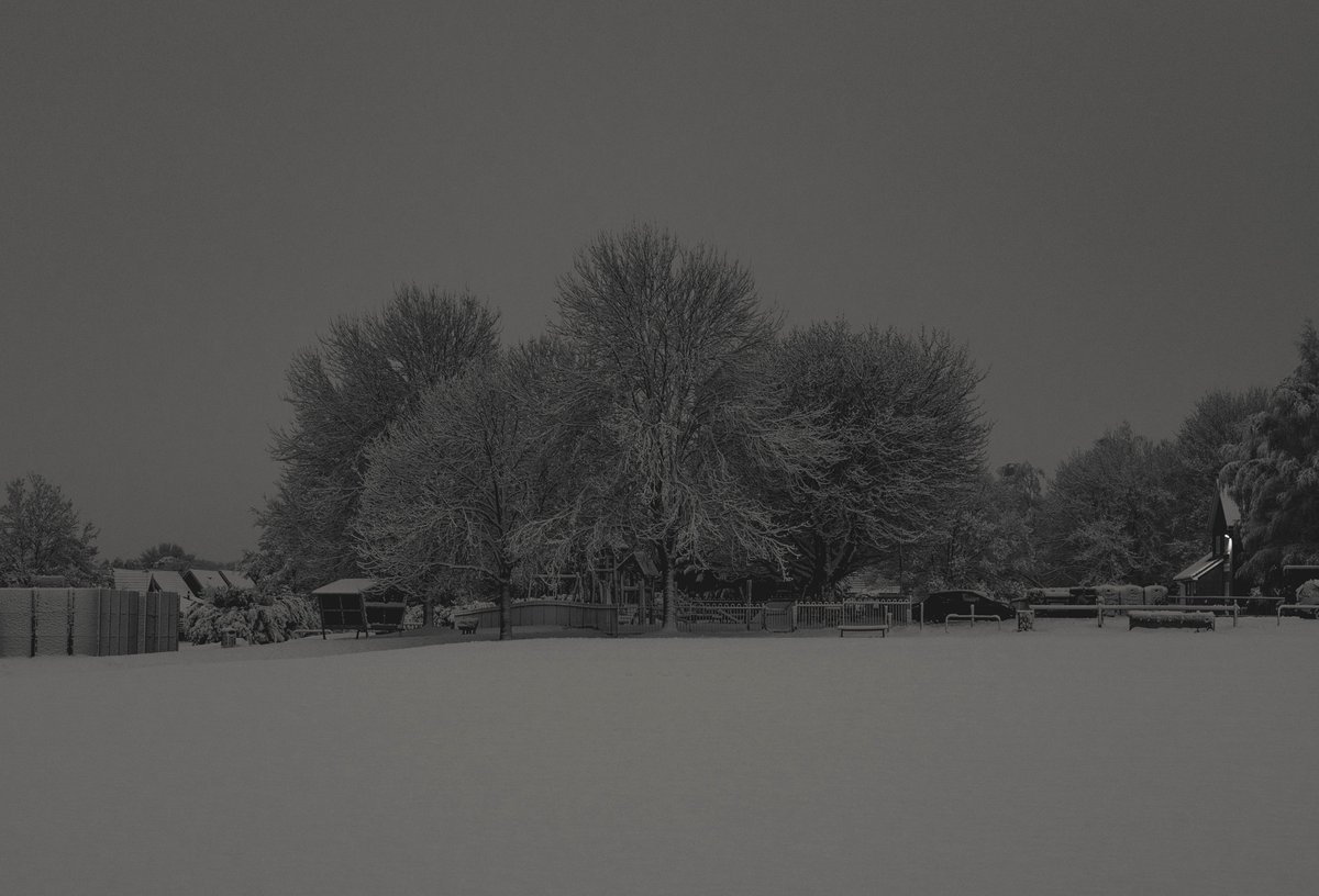 zosphotos's tweet photo. Soft grey touch https://t.co/gfS8Am2R6o
