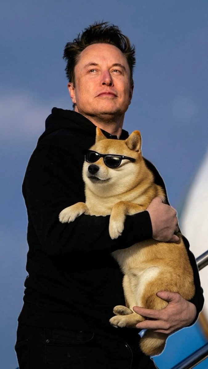 Dank Doge tweet media