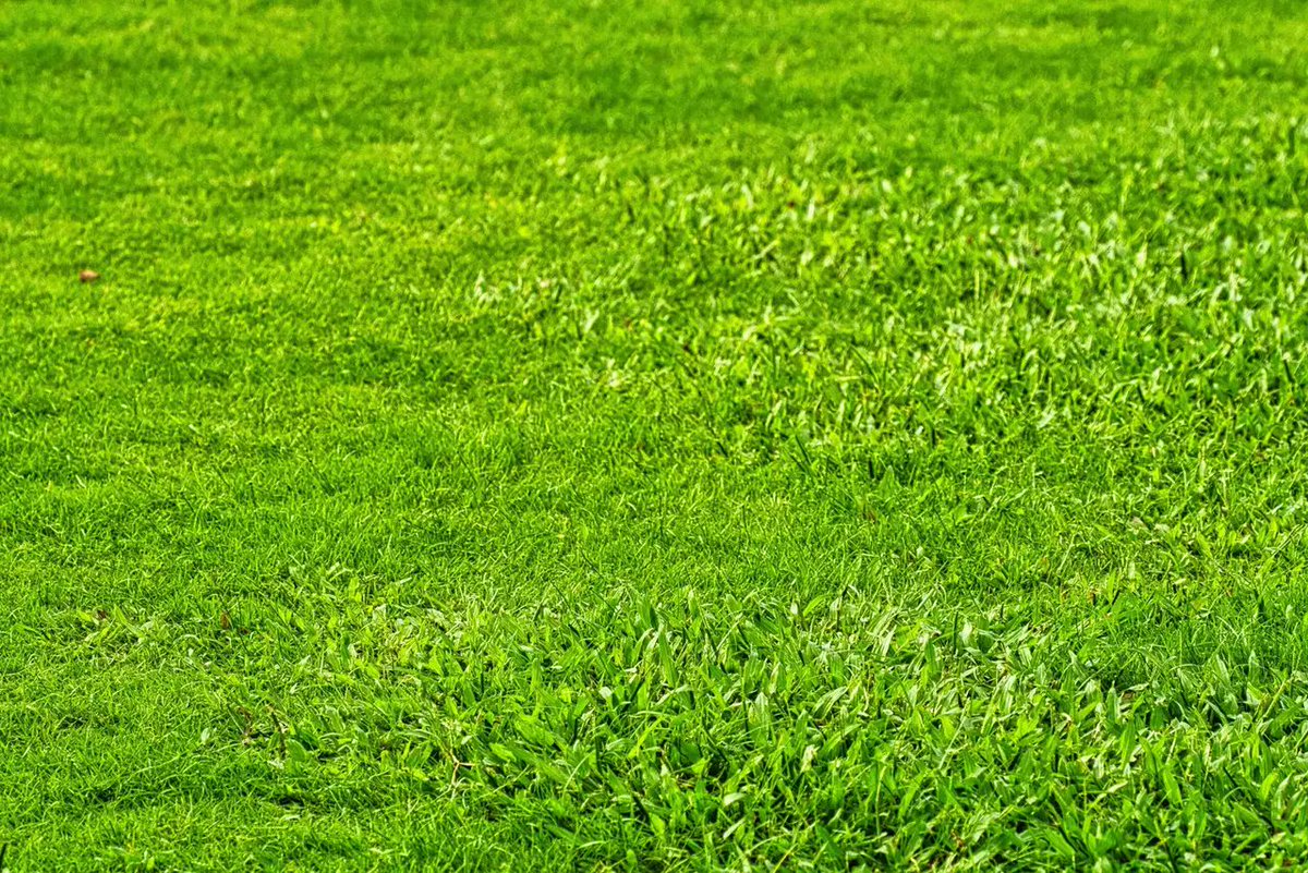 illustrarch's tweet image. Smart Lawn Care Practices for a Healthier Yard

Read More: ift.tt/MQFa5Rb

#illustrarch #architecture #design #archiblog