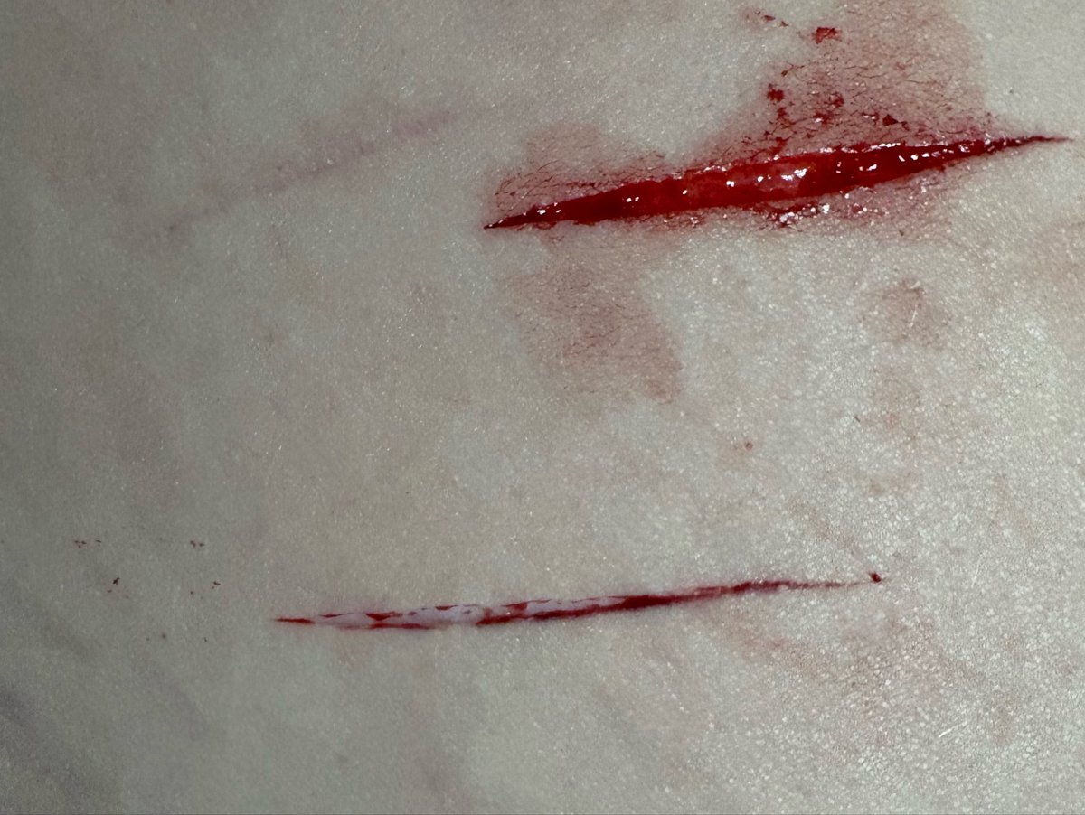 ˚₊‧꒰ა 𝒸𝒶𝓇𝓁𝓎 ໒꒱ ‧₊˚ tweet media