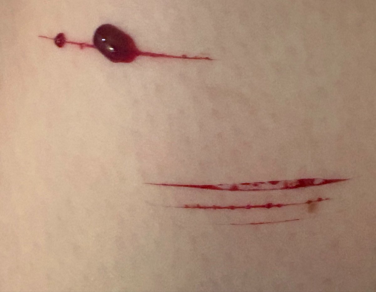 ˚₊‧꒰ა 𝒸𝒶𝓇𝓁𝓎 ໒꒱ ‧₊˚ tweet media