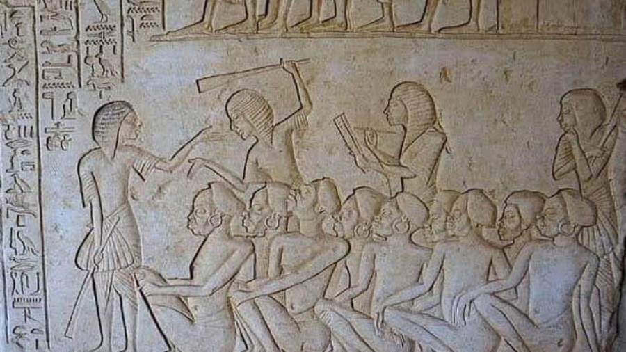 𝐫𝐞𝐧𝐝𝐚 ᓀ‸ᓂ tweet media